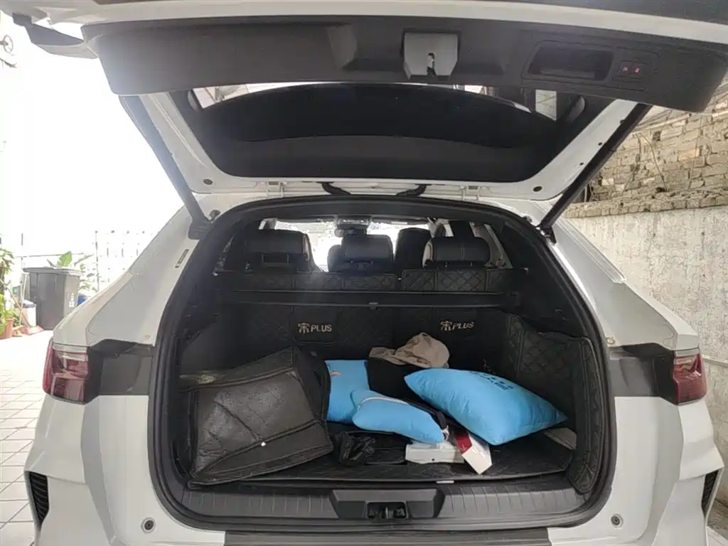 BYD Song PLUS PHEV 2021 DM-i 110KM Flagship PLUS фото 19