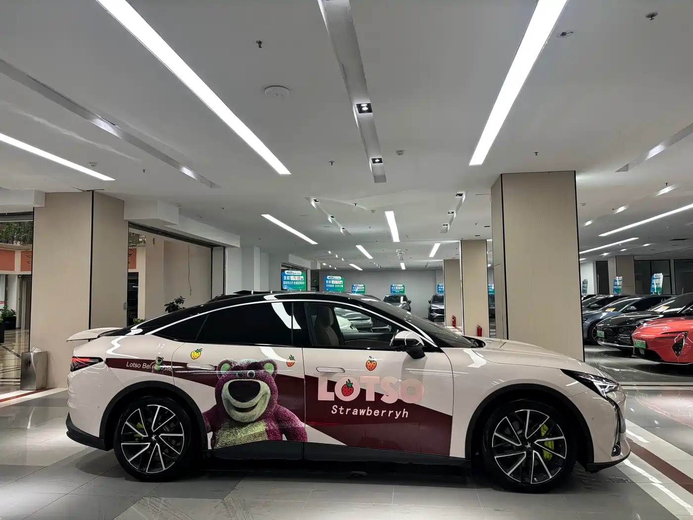 ARCFOX EXTREME FOX POLAR FOX ALPHA S5