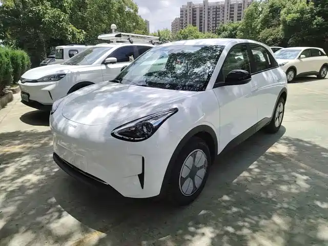 Geely Xingyuan 310km, Юность