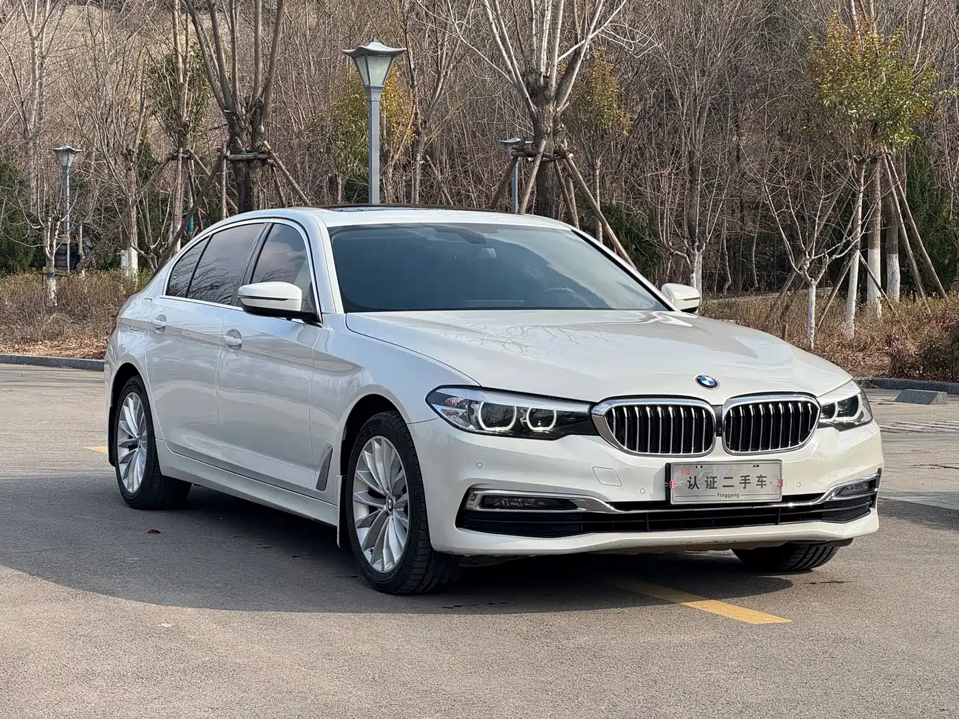 BMW 5 Series 2019 525Li Luxury Package фото 3