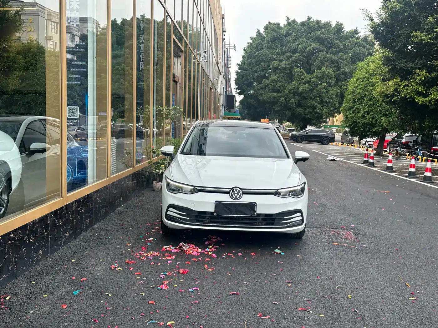 Volkswagen Golf 2021 280TSI DSG Pro Launch Edition фото 2