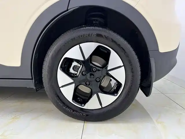 Geely Galaxy Starry Wish 2026 Edition 410km Freedom Version фото 16