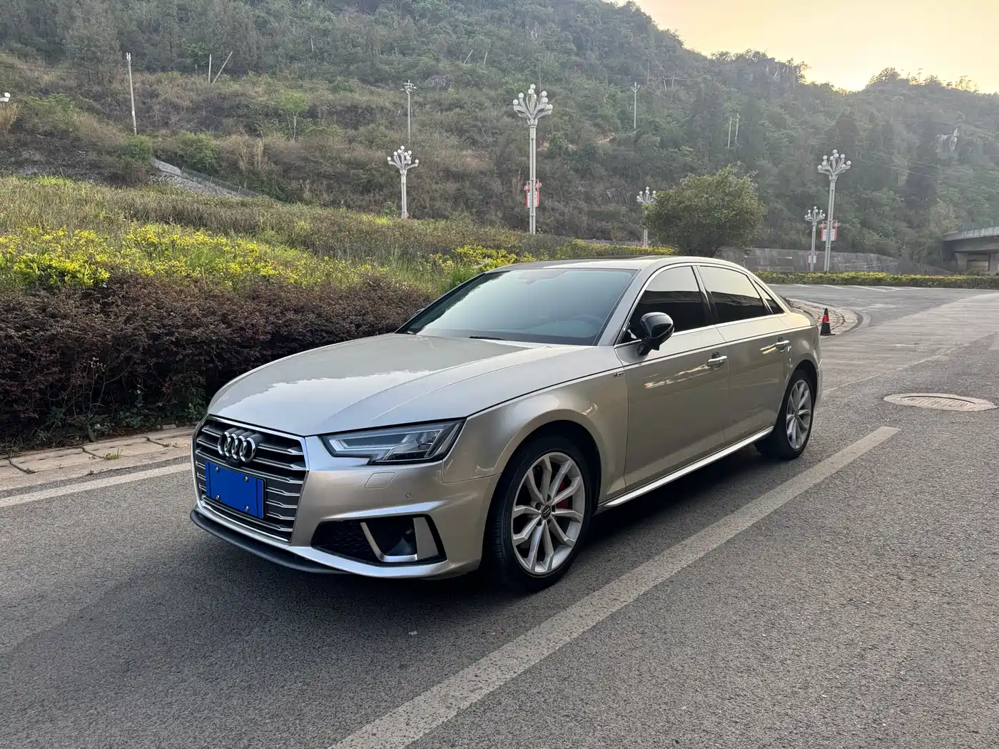 Audi A4L 2019 45 TFSI quattro Personality Sport (China V)