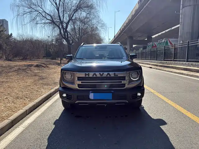 HAVAL BIG DOG