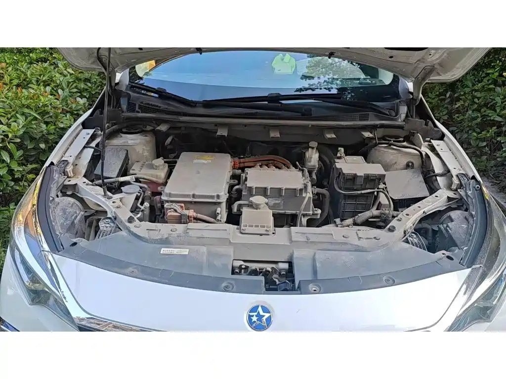 Venucia D60EV 2020 2019 Long-Range Travel Edition
