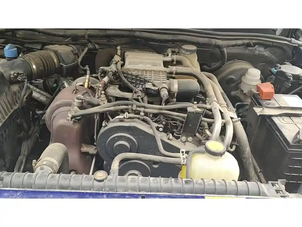Dayun Pickup 2020 2020 2.0T Diesel 2WD Manual Elite Standard Wheelbase 4F20TC