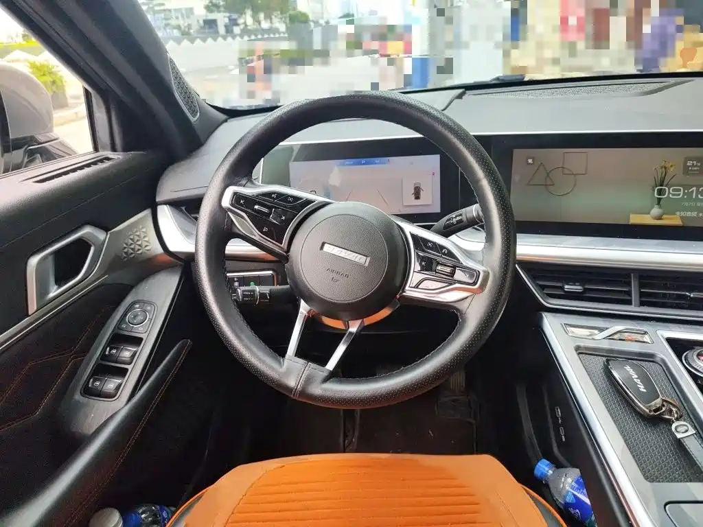 Haval Shenshou 2022 2022 1.5T Smart Leader Edition