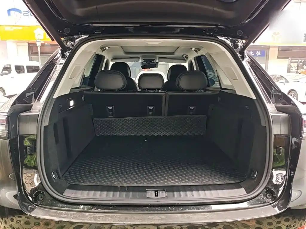 Chery Fengyun Fengyun T9 2025 2025 120 Long Range Premium 5-seater LFP