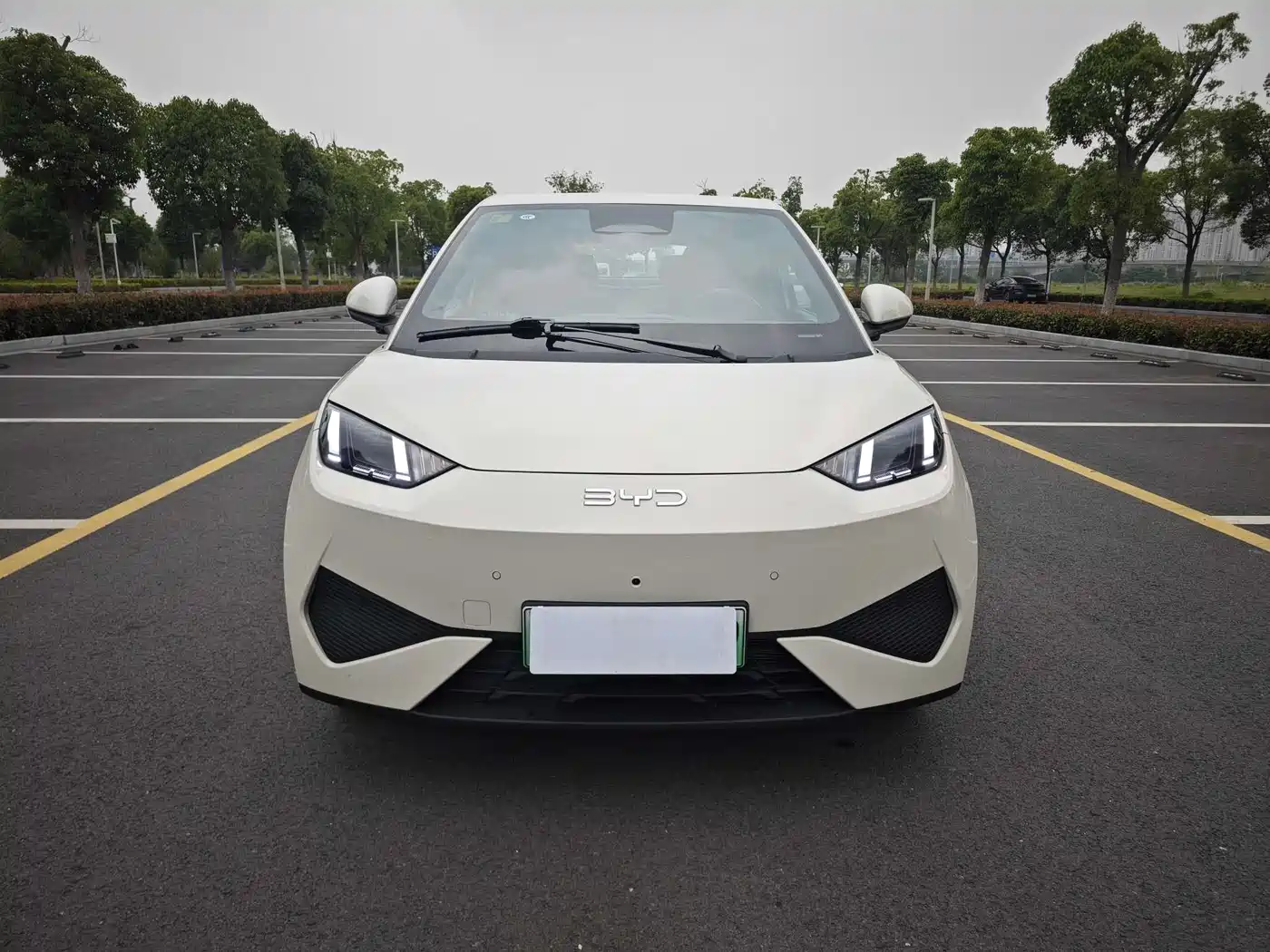 BYD Seagull 2025 Smart Driving Edition 405km Flying Edition фото 2