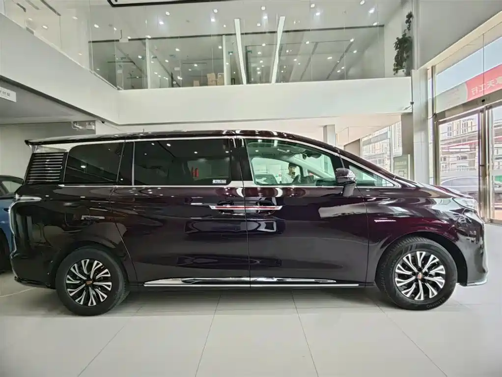Hongqi HQ9 PHEV 2024 Model 2.0T AWD Luxury Edition фото 3