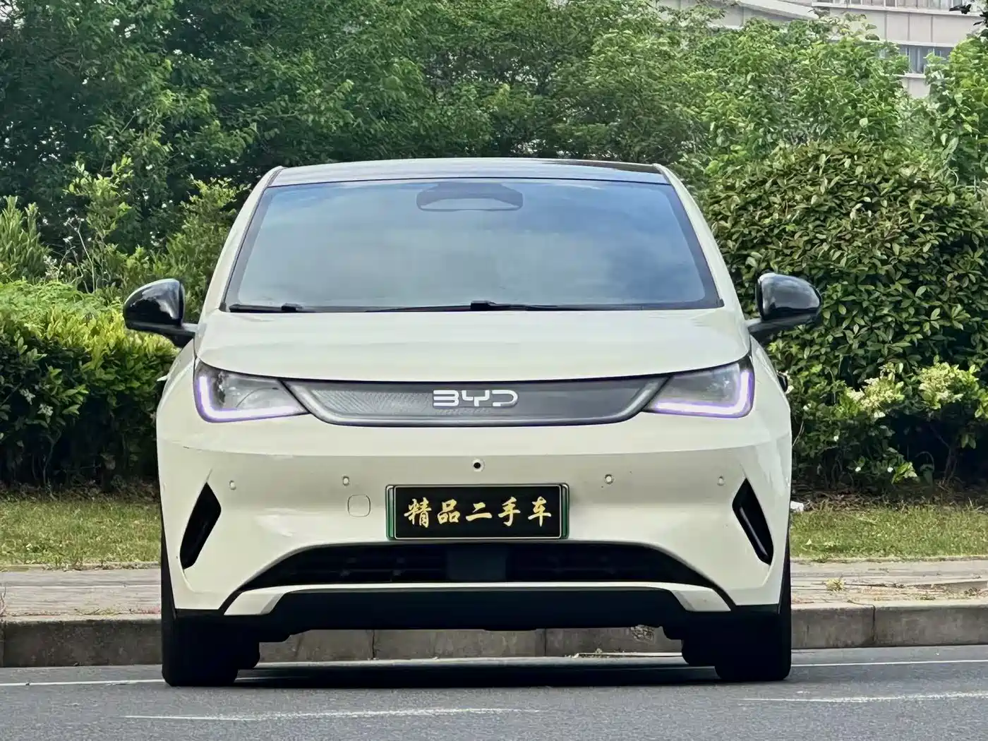 BYD Dolphin 2025 Smart Drive Edition 410km Fashion Version фото 4