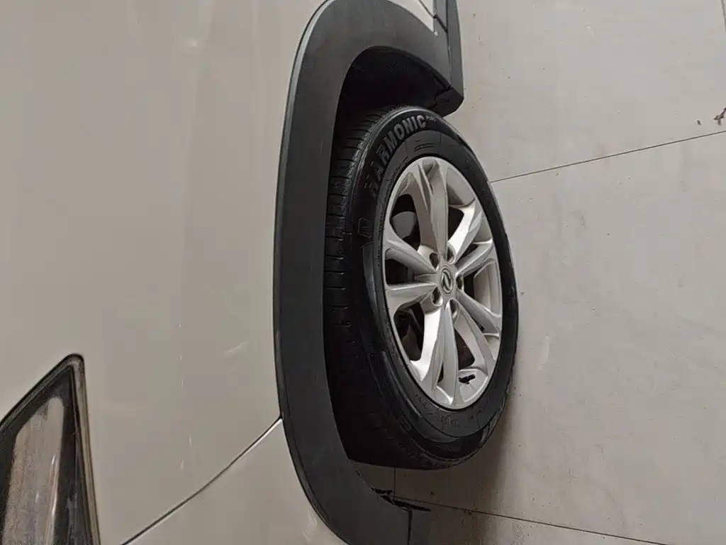 Фото 23 - Dongfeng Fengguang Fengguang S560