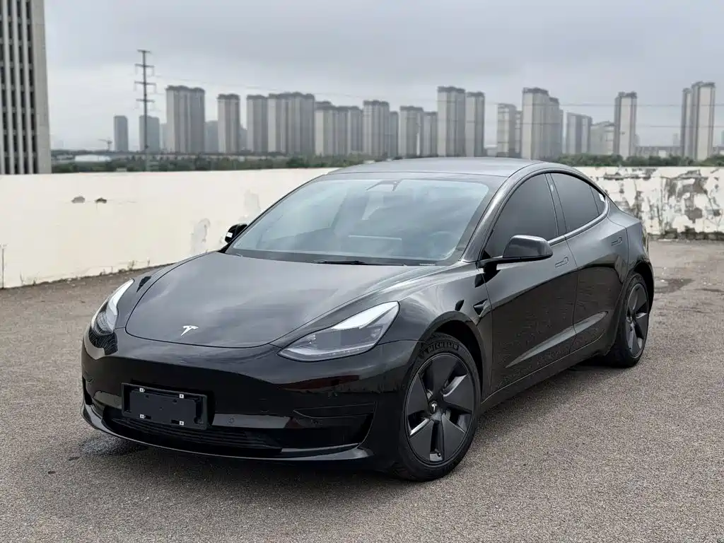 Tesla Model 3 2021