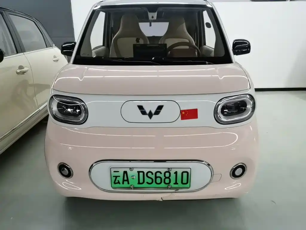 Фото 3 - Wuling Motors Hongguang MINIEV