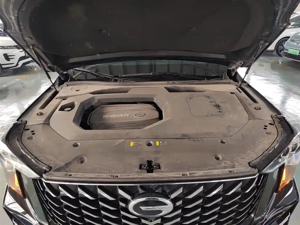 GAC Trumpchi Trumpchi GS8 2022 Pilot Series 2.0TGDI 2WD Premium Edition (7-Seater) фото 16