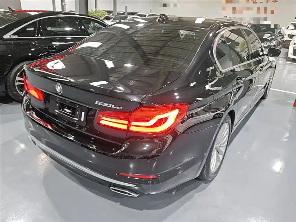 BMW 5 Series New Energy 2019 Facelift 530Le Luxury Package фото 7