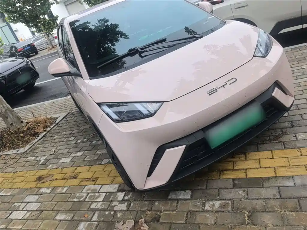 BYD Seagull 2023 Vitality Edition фото 4