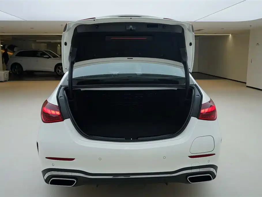 MERCEDES-BENZ C CLASS NEW ENERGY