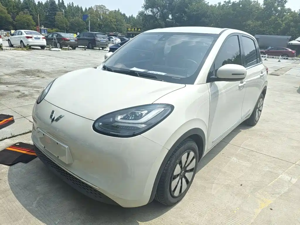 Wuling Motors Wuling Bingo 2023 2023 203km Comfort Version