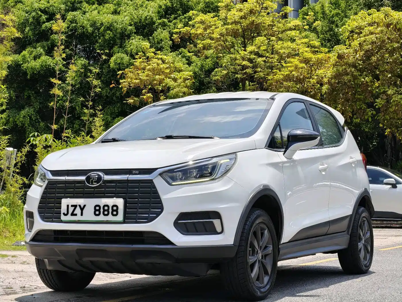 BYD Yuan New Energy 2019 EV535 Smart Connected Trend Leader Type