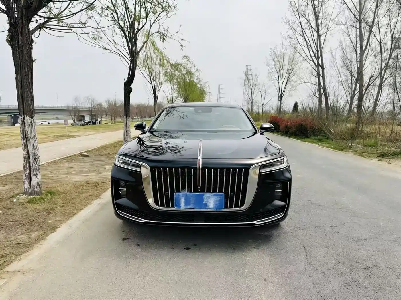 Hongqi HONGQI H9
