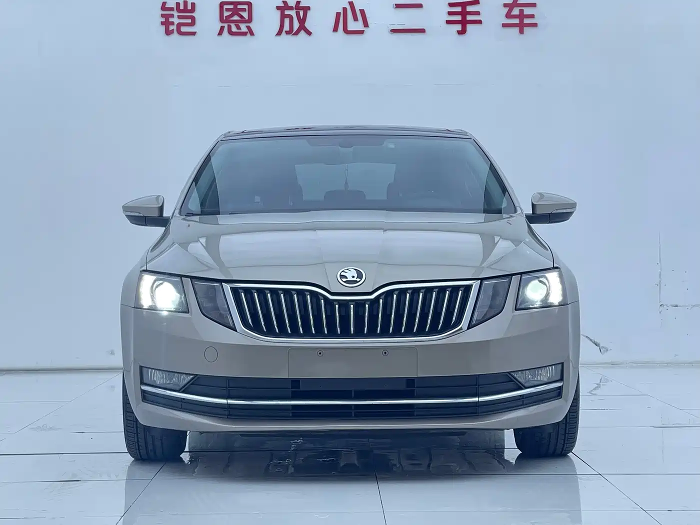 Škoda Octavia 2018 1.6L Automatic Luxury фото 2