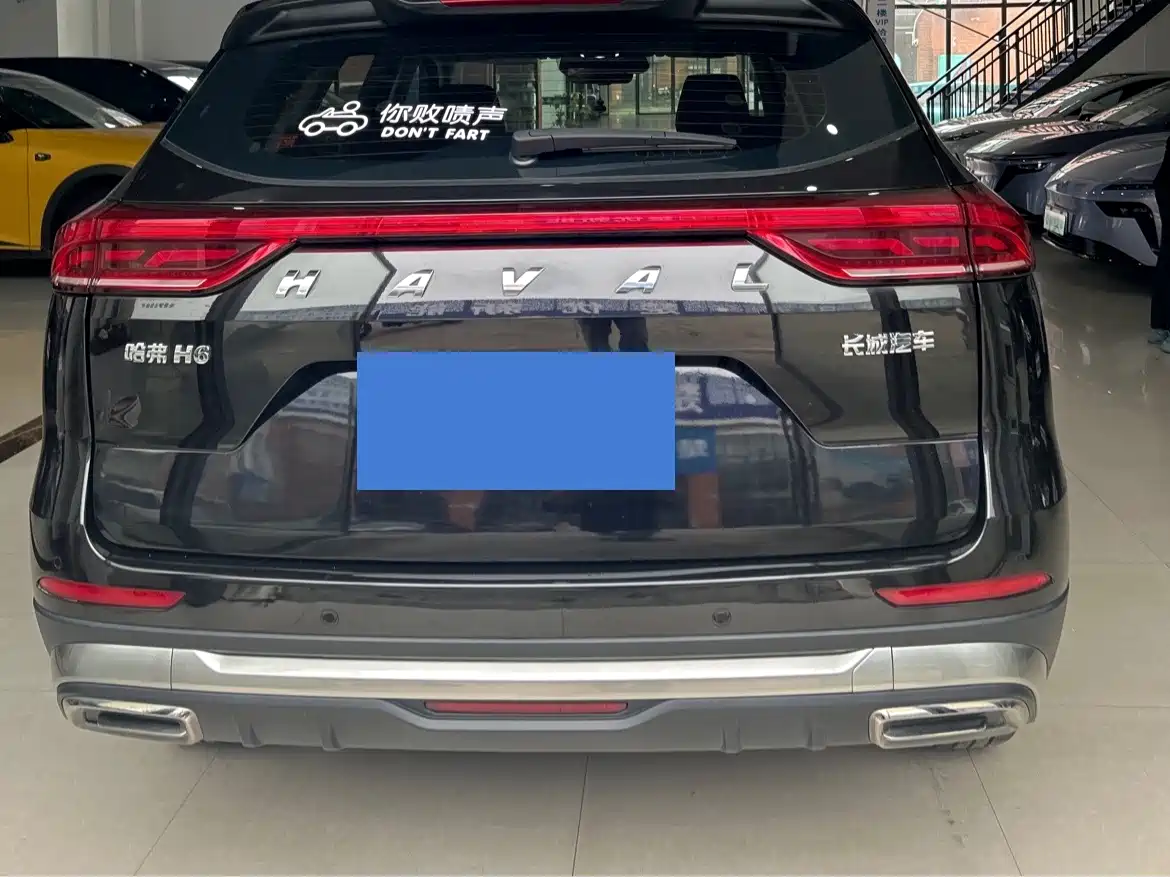 Haval H6 2023 National Trend Edition 1.5T Automatic Champion фото 13