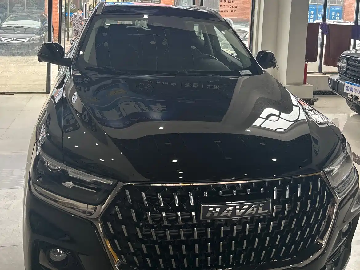 Haval H6 2023 National Trend Edition 1.5T Automatic Champion фото 2