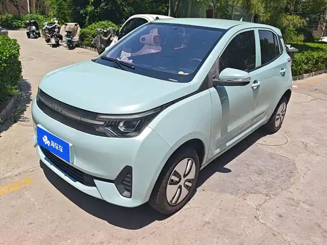  LeiDing Leiding Mango 2021 Qumang Joy Edition 185km