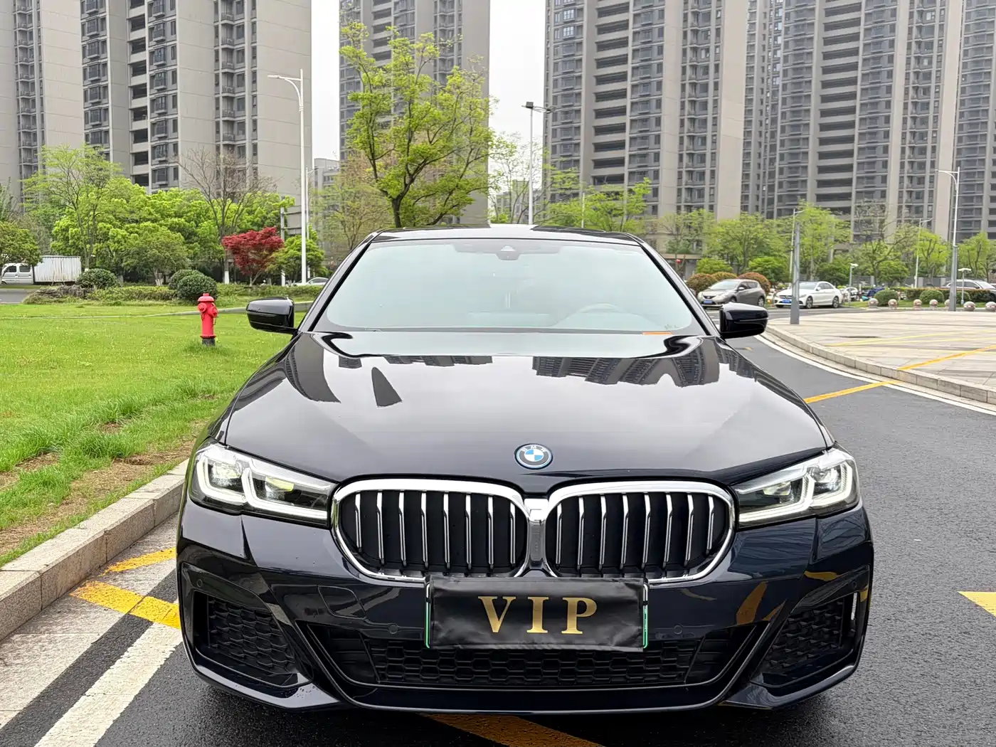 BMW 5 SERIES NEW ENERGY