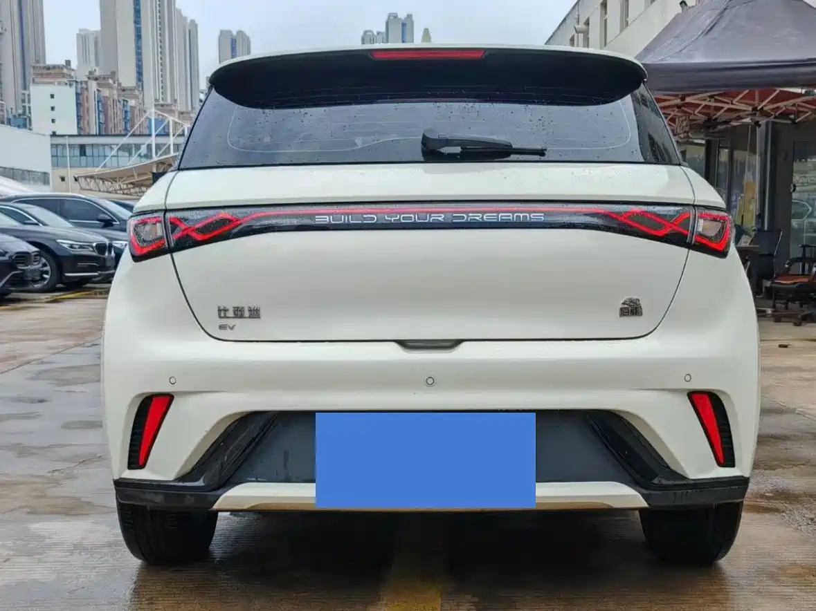 BYD Dolphin 2023 420km Fashion Edition фото 8