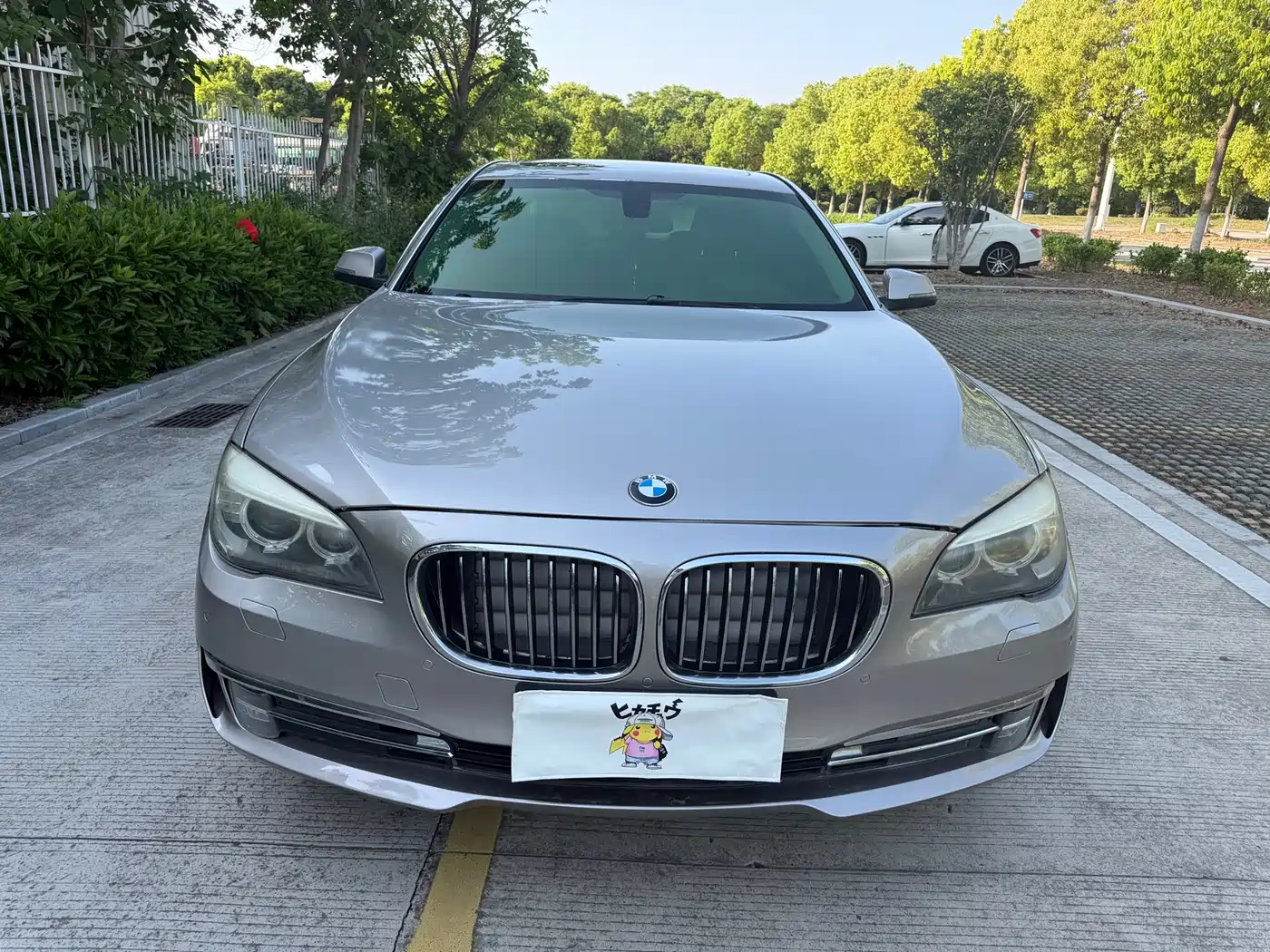 BMW 7 Series 2013 Model 740Li xDrive фото 2