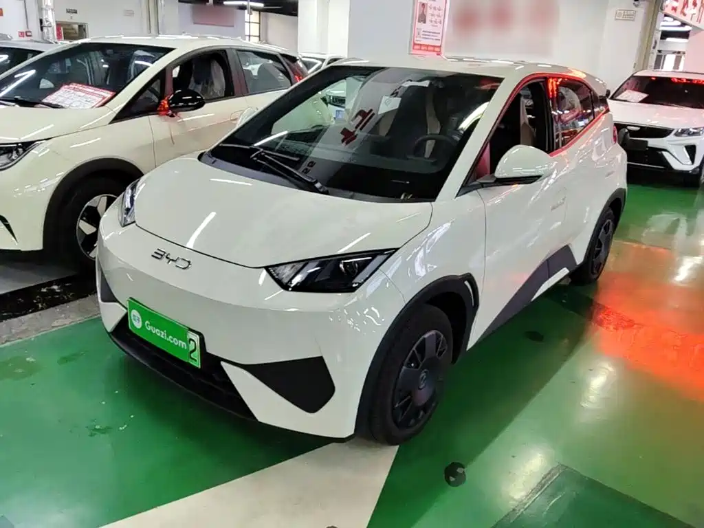 BYD Seagull 2026 2025 Smart Drive Edition 305km Vitality Version