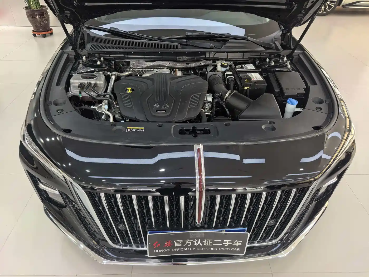 Hongqi H5 2025 2.0T Automatic Flag Celebration 500,000 Units Anniversary Edition фото 6