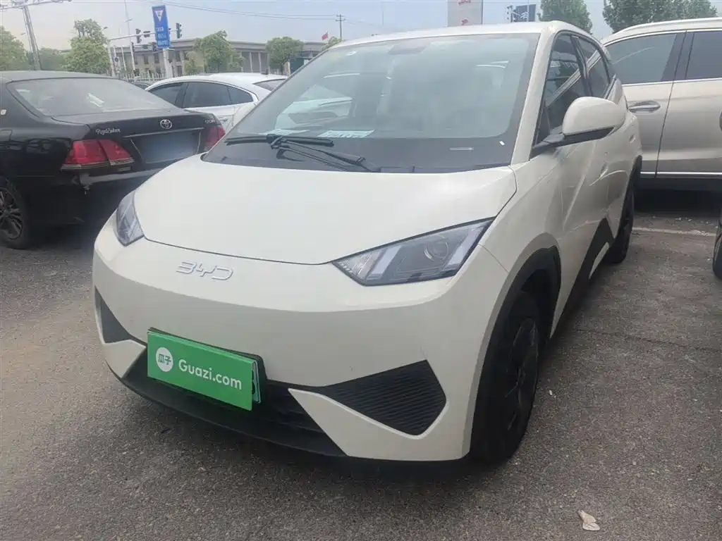 BYD Seagull 2025 Smart Drive Edition 305km Vitality Version