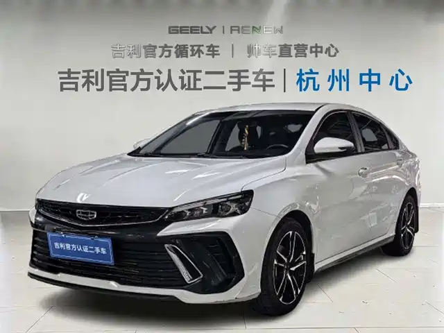 GEELY AUTOMOBILE BINRUI