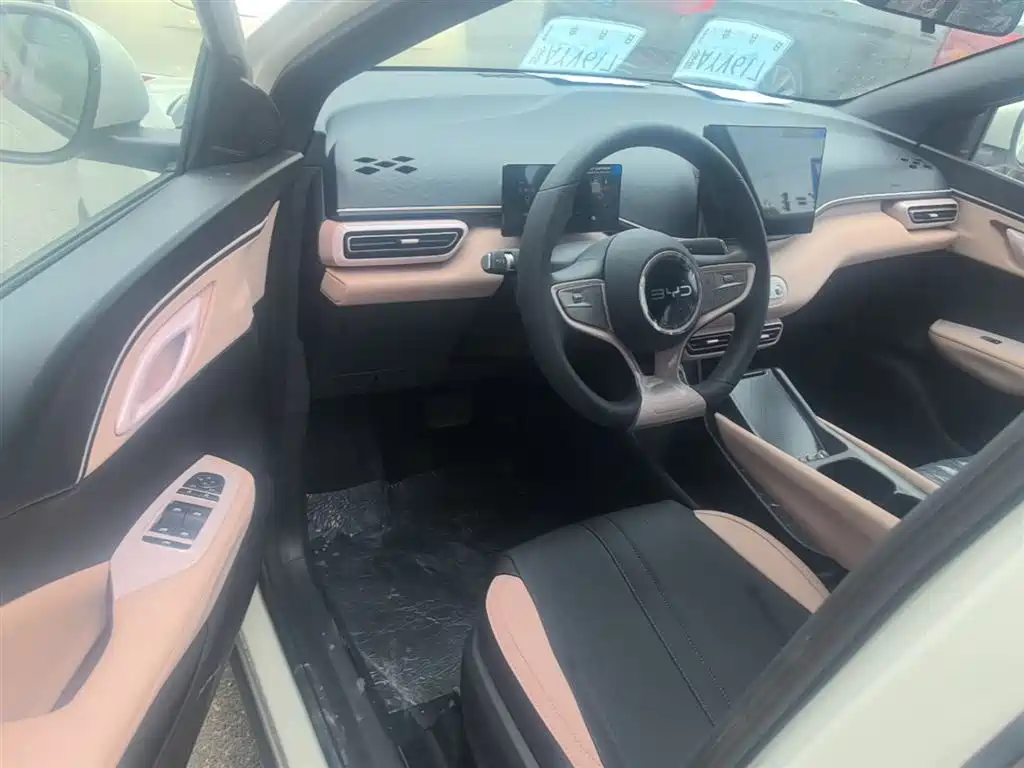 BYD Seagull 2025 Smart Drive Edition 305km Vitality Version фото 16