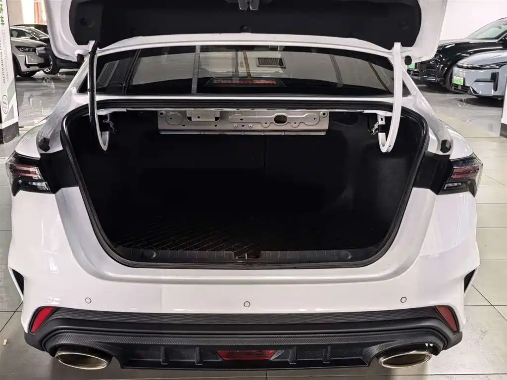 GEELY AUTOMOBILE BINRUI