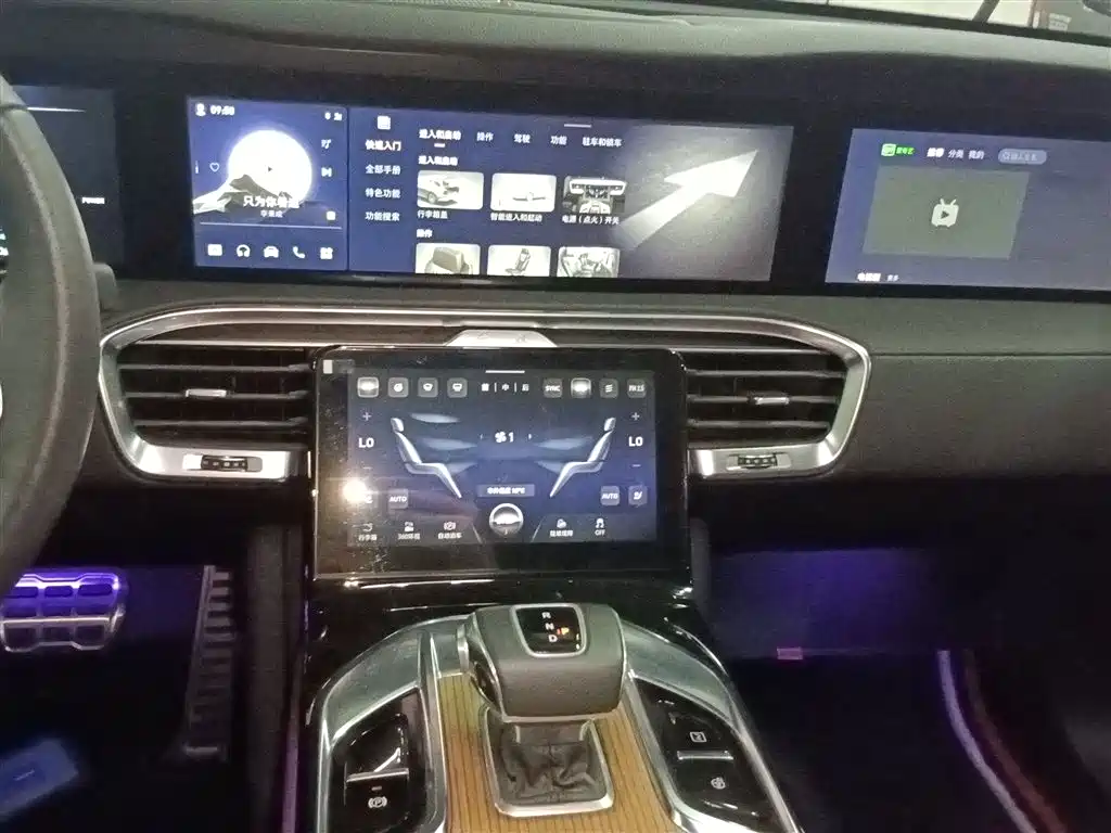 Hongqi E-HS9 2021 510km Flagship Comfort 6-seater фото 13