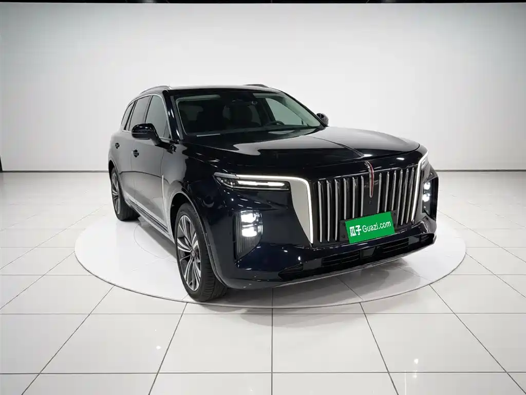 Hongqi E-HS9 2021 510km Flagship Comfort 6-seater фото 4