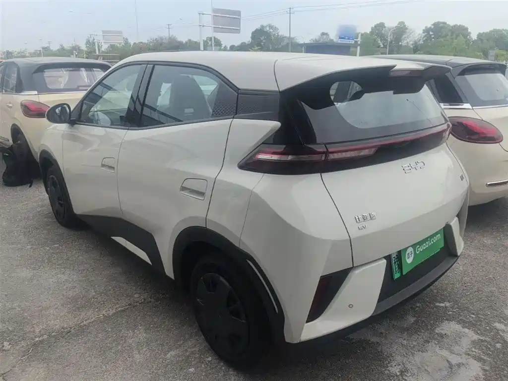 BYD Seagull 2025 Smart Drive Edition 305km Vitality Version фото 5