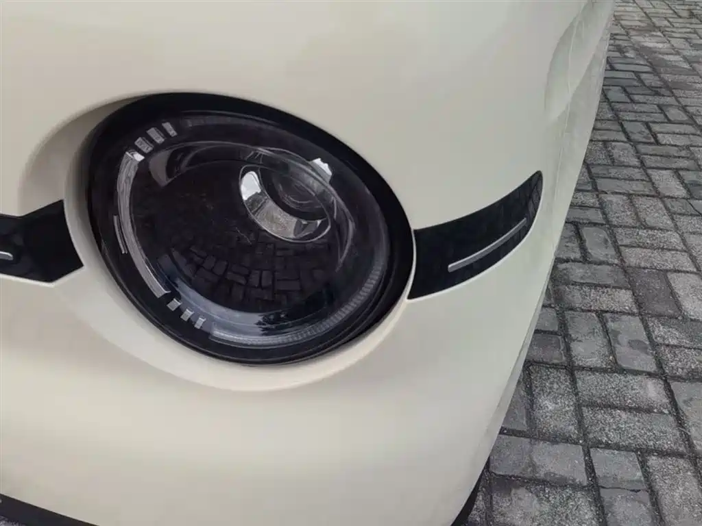 Geely Galaxy Panda 2025 Panda mini 210km Vitality Bear фото 24