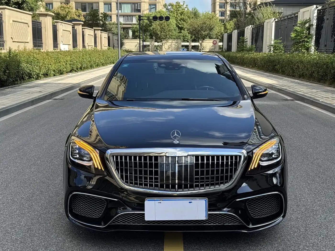 Mercedes-Benz S-Class 2020 S 350 L Business Edition Collector's Version фото 3