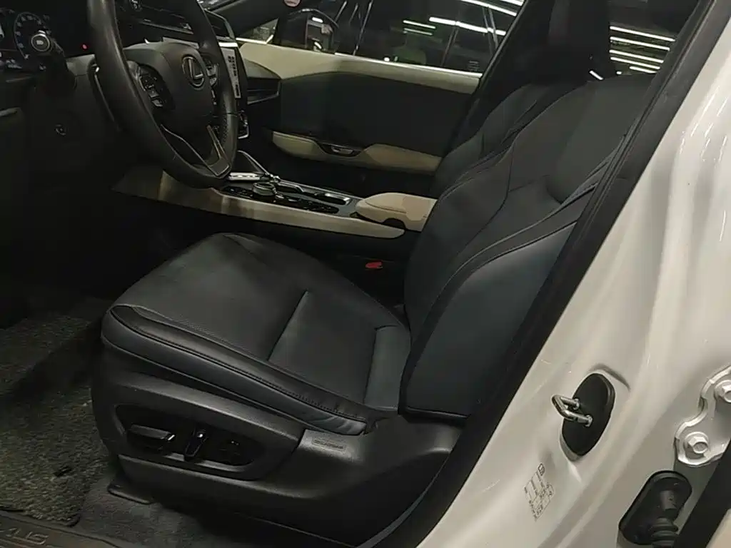 Lexus RZ 2024 2023 450e 4WD Deluxe
