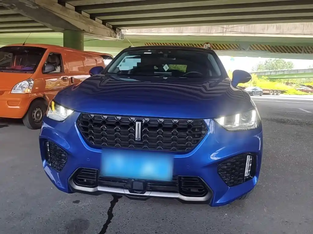 WEY VV5 2017 2017 2.0T Flagship Model
