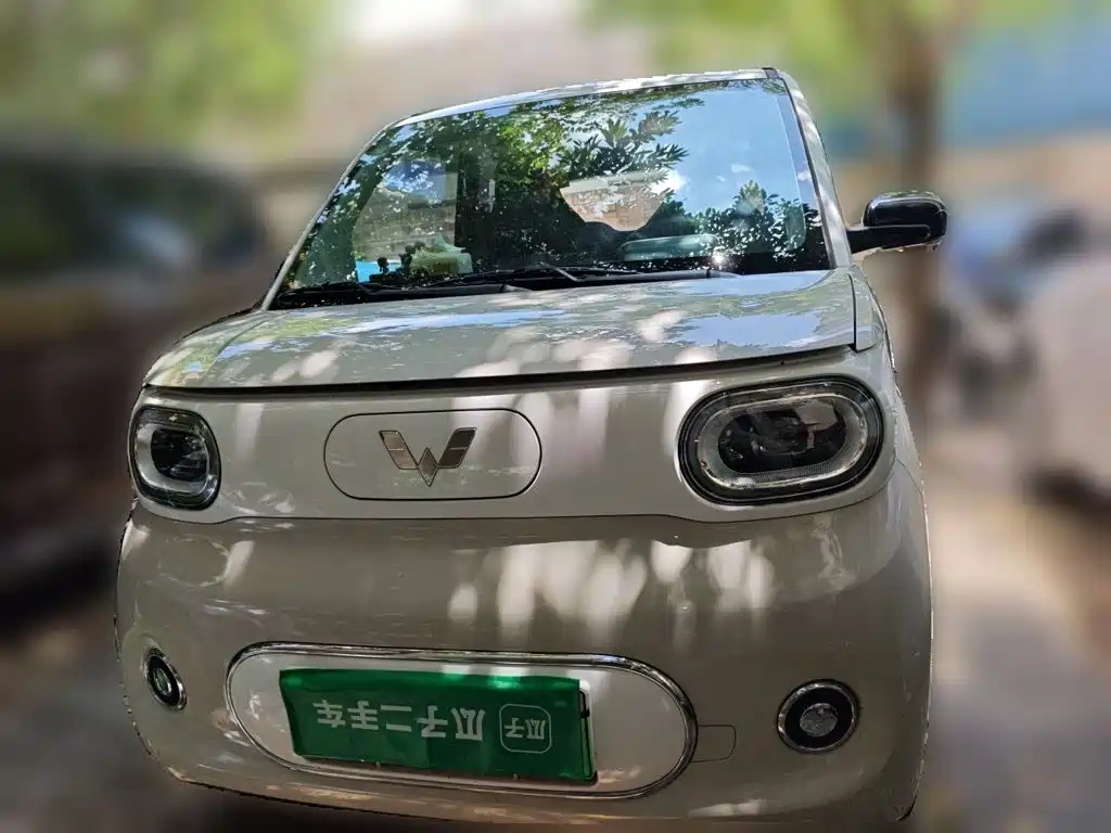 Фото 3 - Wuling Motors Hongguang MINIEV