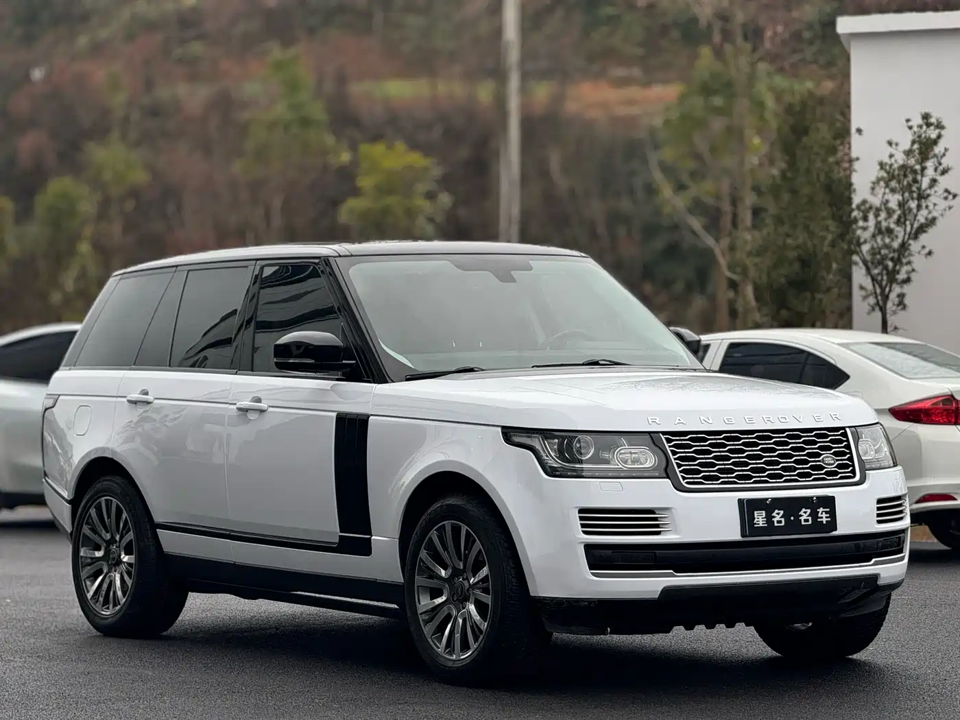 Land Rover Range Rover 2014 3.0 SC V6 Vogue фото 3