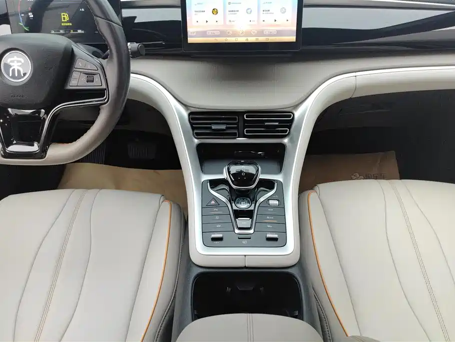 BYD Song Pro New Energy 2024 Glory Edition DM-i 71KM Pilot фото 16