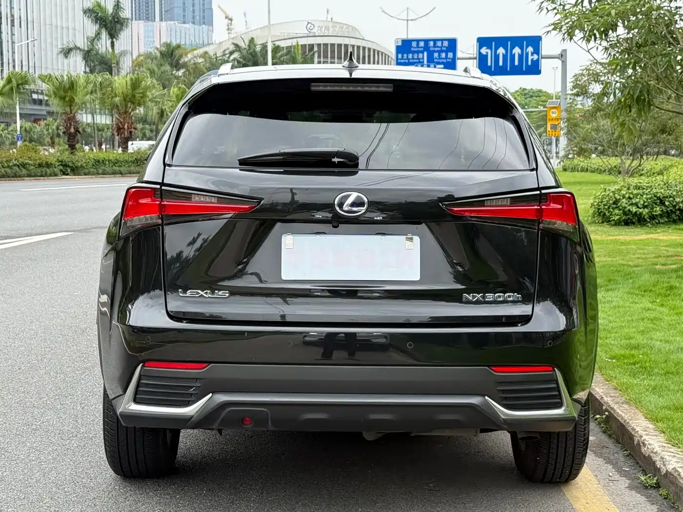 Lexus NX 2020 300h FWD F Sport China VI фото 5