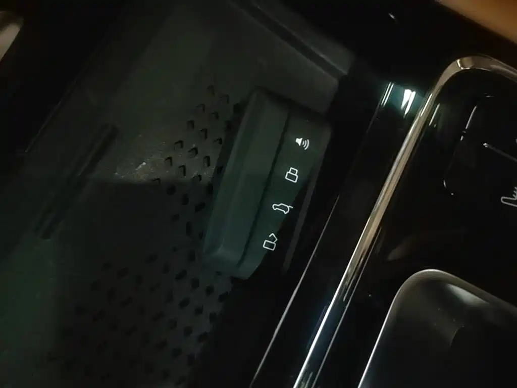Tank 500 EV 2023 Hi4-T фото 9